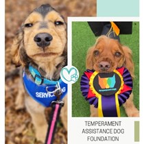 Temperament Assistance Dog Foundation