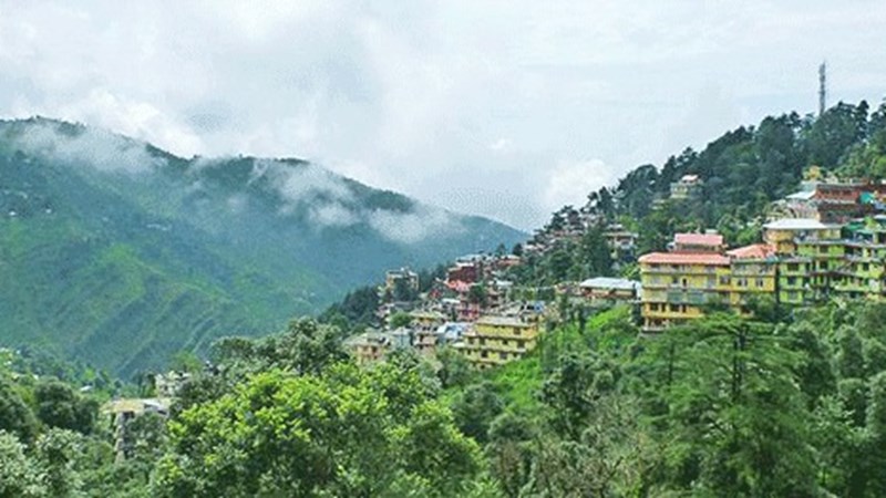 cover photo