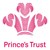 Fundraiser icon