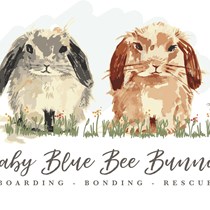 Baby Blue Bee Bunnies rescue 