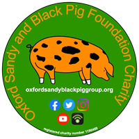 Oxford Sandy and Black Pig Group