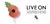 Fundraiser icon