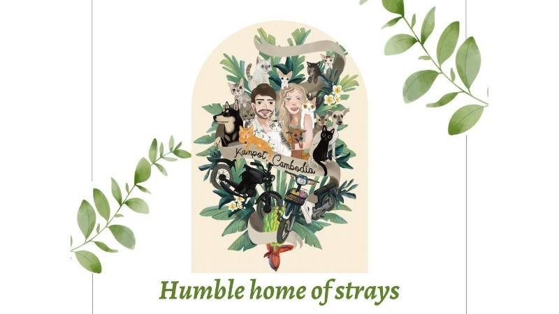 cover photo