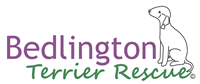 Bedlington Terrier Rescue Foundation