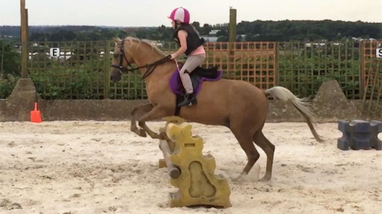 Crowdfunding to buy Show Jumping Equipment for the Kids at our local