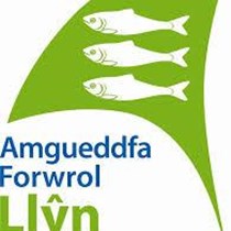 Amgueddfa Forwrol Llyn Maritime Museum