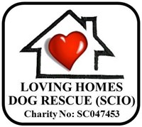 Loving Homes Dog Rescue SCIO