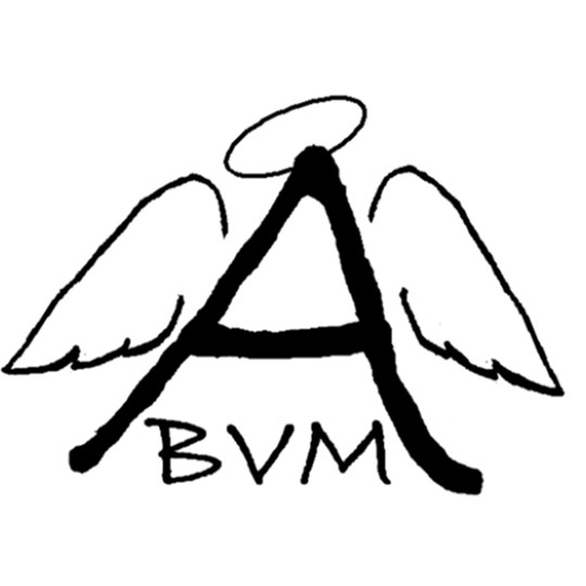 Assumption BVM School