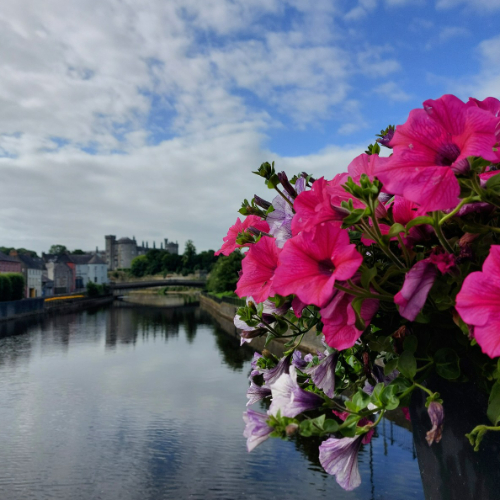 Ger Keogh's Virtual Camino Walk