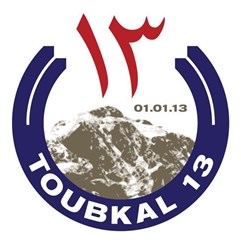 Team logo