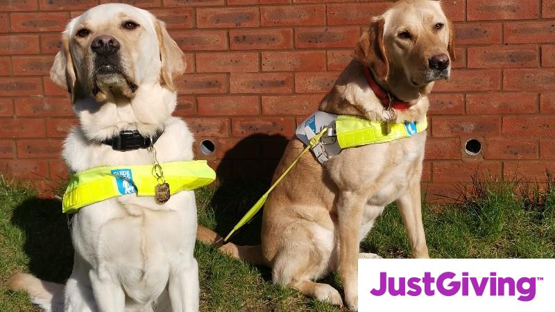 Crowdfunding To Help Fund A Dog Pen For Two Guide Dogs On JustGiving