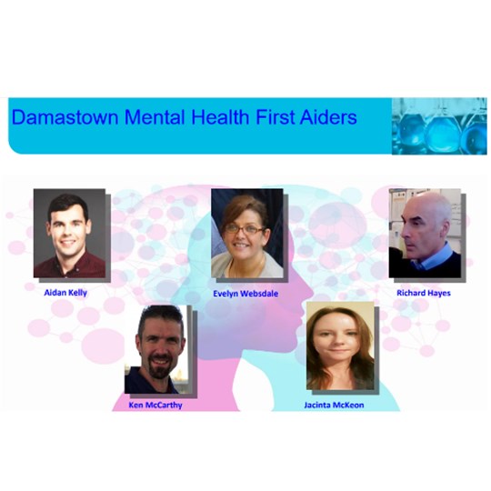 Mental Health First Aiders Viatris Damastown