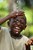 Fundraiser icon