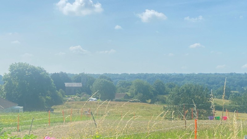 cover photo