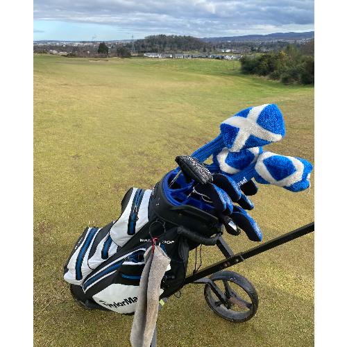 David's Big Golf Race
