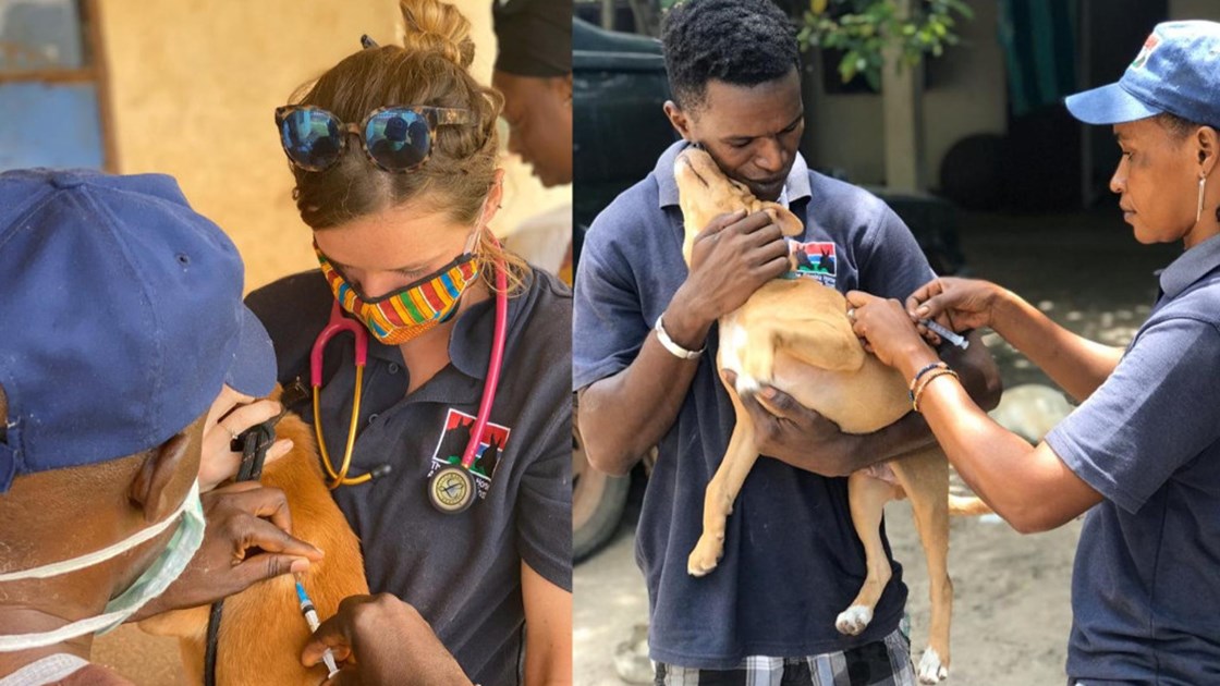 Save a Life on World Rabies Day Rabies Vaccination Campaign JustGiving