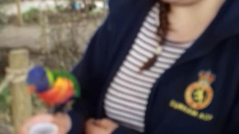 cover photo
