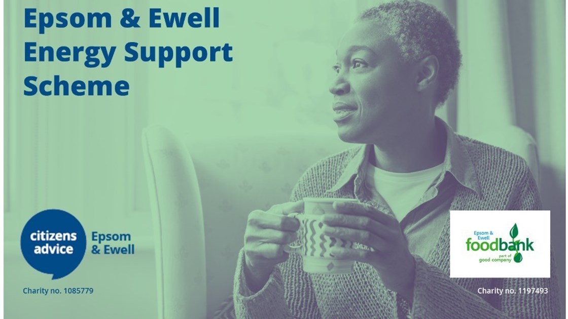 Epsom & Ewell Energy Support Scheme JustGiving