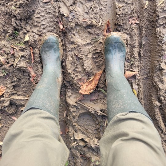 Clare Youngs's The Big Step Challenge
