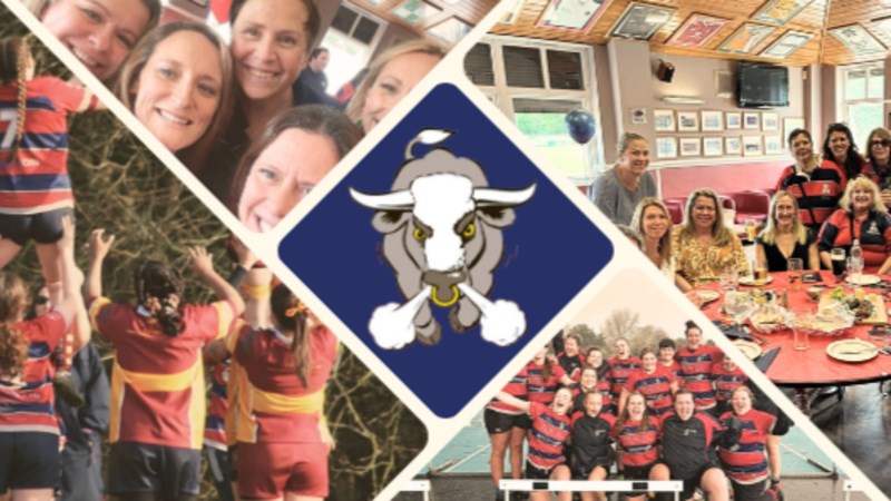 cover photo