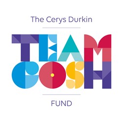 Team logo
