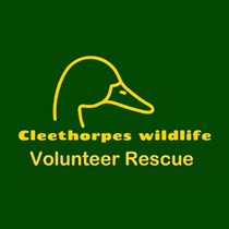 Cleethorpes Wildlife Rescue