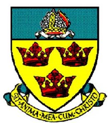 Team logo
