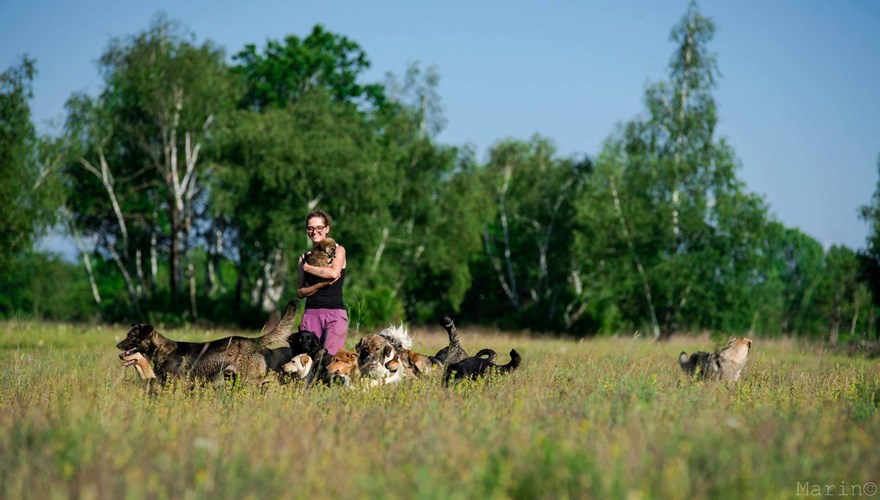 Crowdfunding to Help the amazing Rainbow Shelter with costs for a year