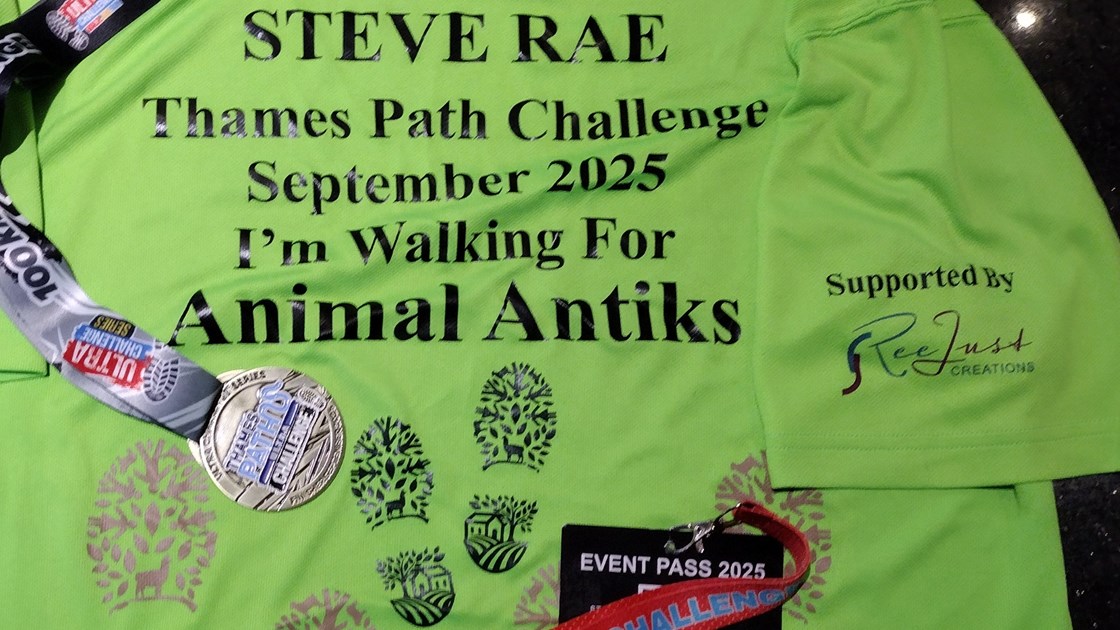 Steve Rae Steve Rae is fundraising for Animal Antiks