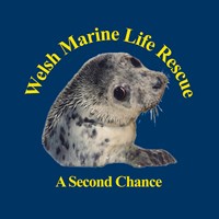 Welsh Marine Life Rescue