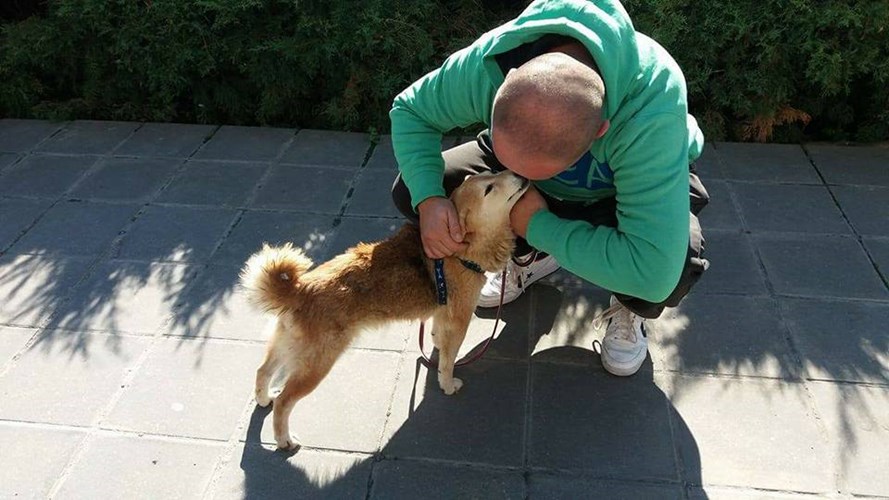 Crowdfunding to dejan gacic dog rescue shelter in serbia on JustGiving