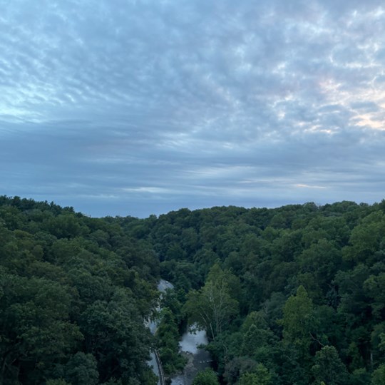 Joe's fundraising page