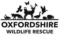 Oxfordshire Wildlife Rescue