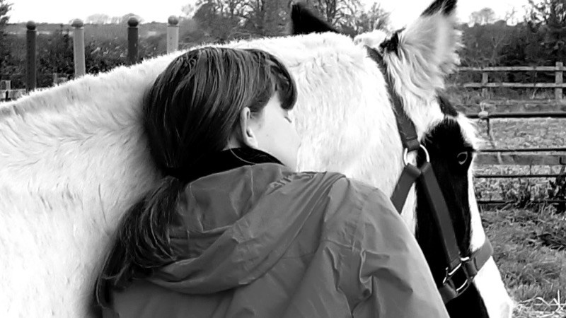 cover photo