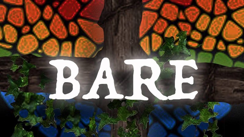 cover photo