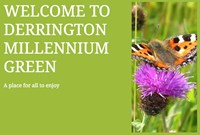 Derrington Millennium Green