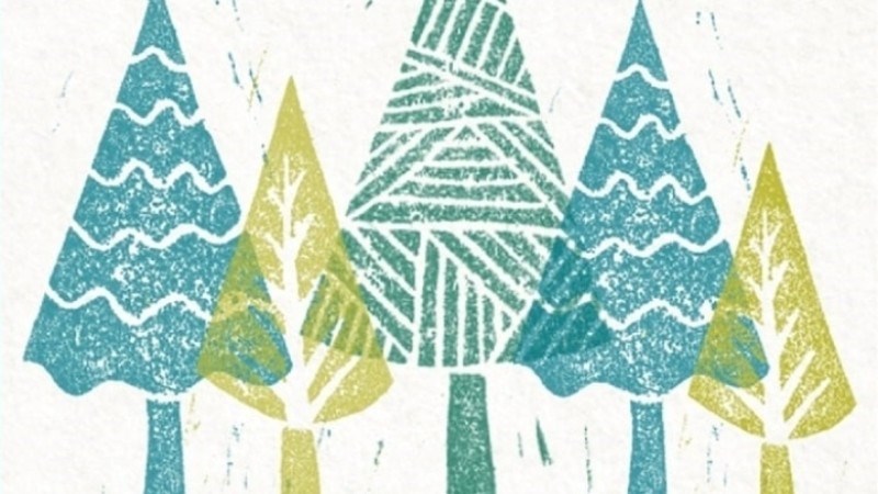 cover photo