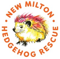 New Milton Hedgehog Rescue