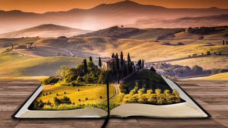 cover photo