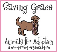 Saving Grace Animals For Adoption Inc