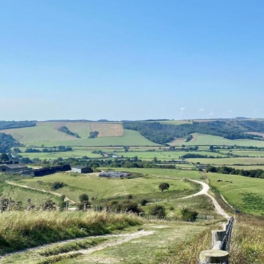 Brockham Hill Raisers