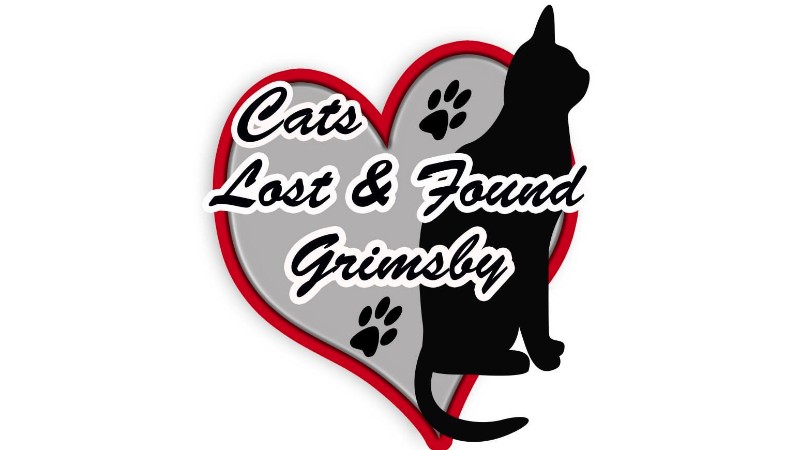 Crowdfunding to support Cats Lost and Found Grimsby in carrying out its