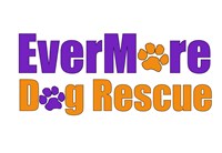 EverMore Dog Rescue