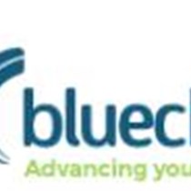 Blue Chip