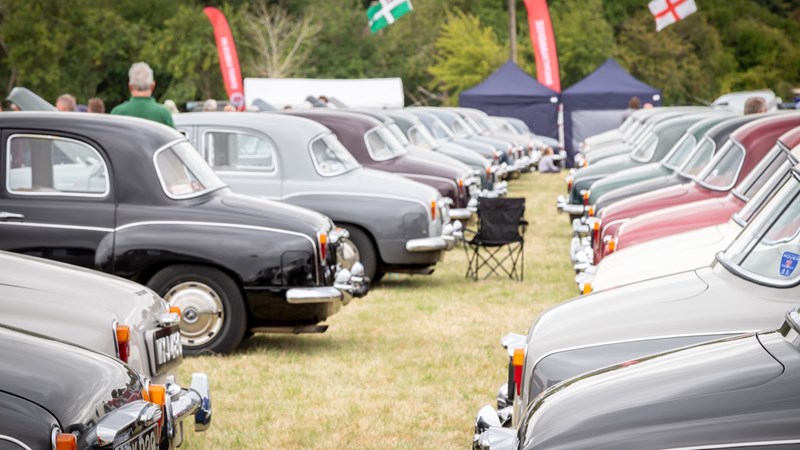 Roverfest Peter Lay is fundraising for Willen Hospice