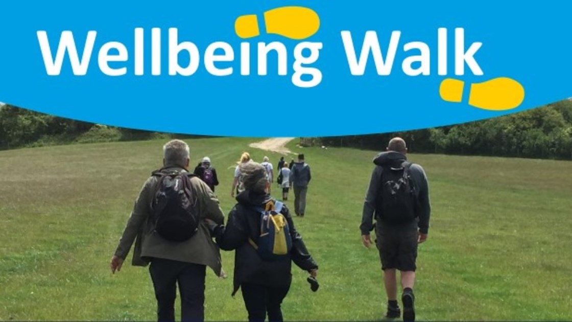 Wellbeing Walk - JustGiving