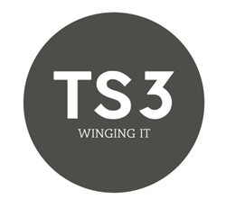Team logo