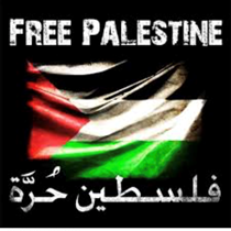 Raise4palestine