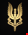 Fundraiser icon