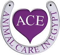 ACE (Animal Care in Egypt)